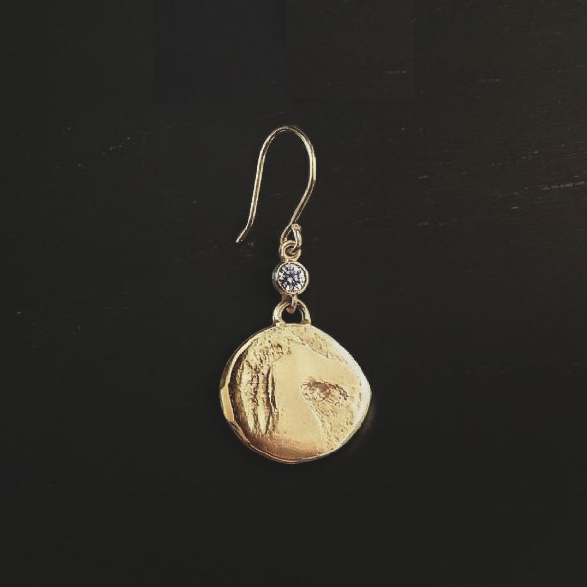 horse-coin-talisman-earrings-gold-fill-hook-earrings