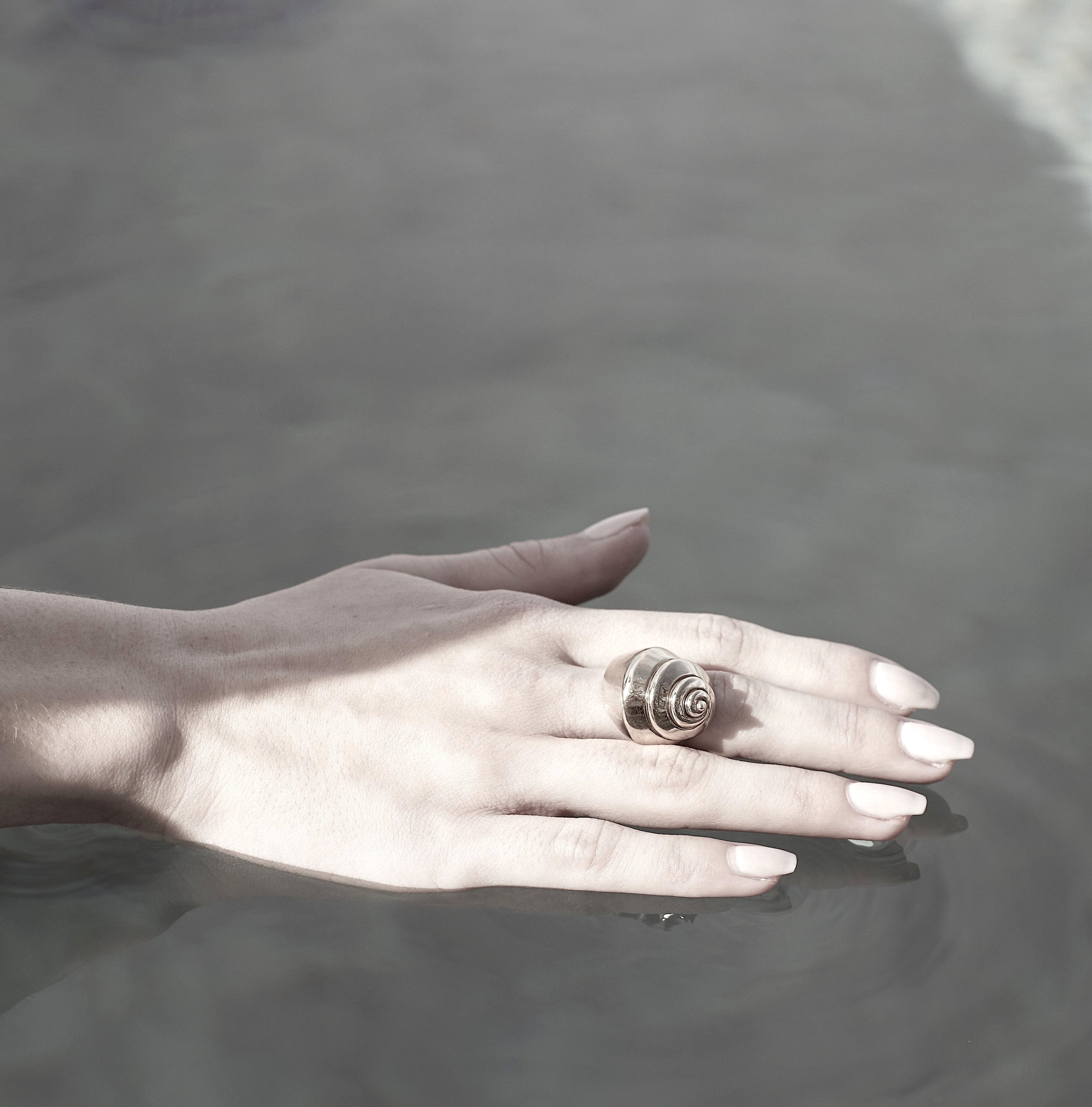 Turbo shell silver ring